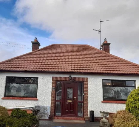 Roof cleaning and moss removal